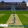 cricket-19