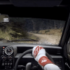 dirt-rally-2-cm