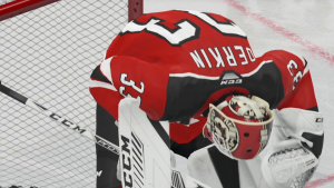 nhl 21 goalie guide