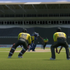 cricket 19 dlc