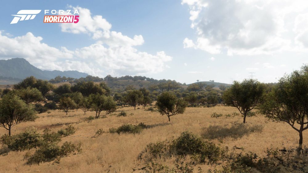 forza horizon 5 biomes