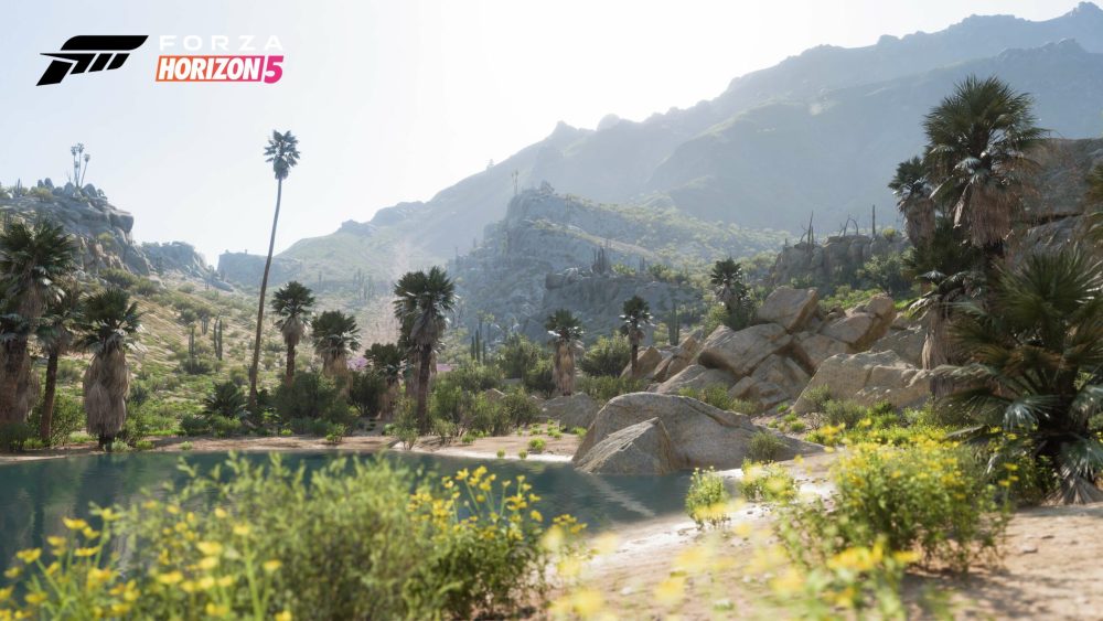 forza horizon 5 biomes