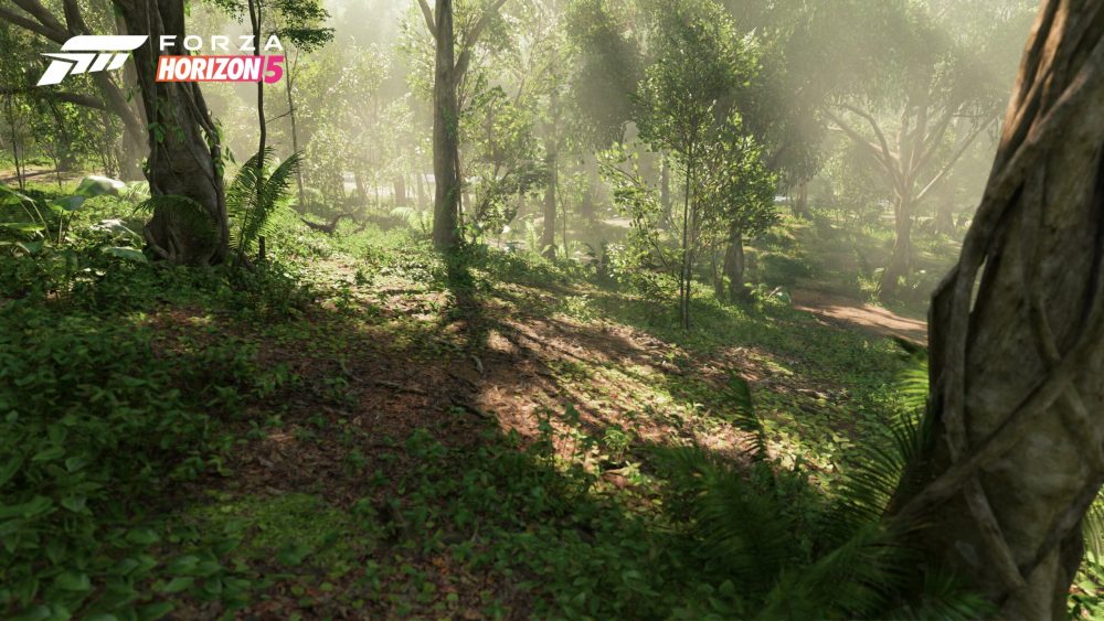 forza horizon 5 biomes