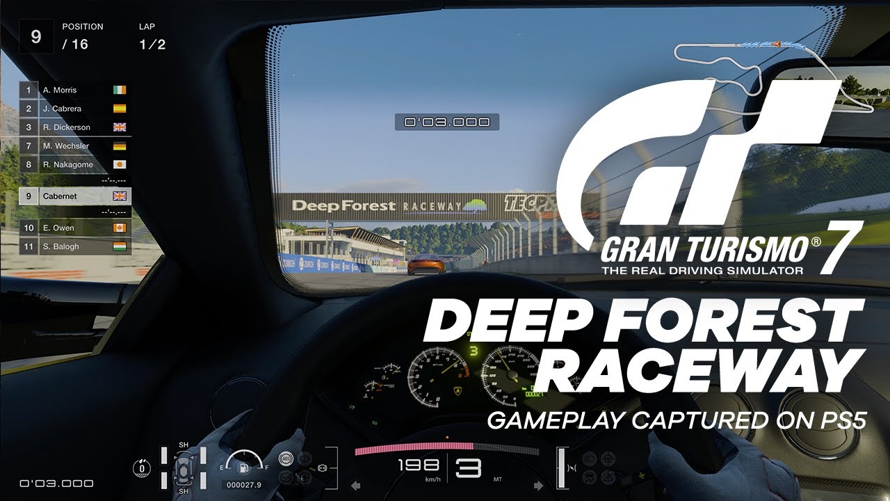 Gran Turismo 7 Deep Forest