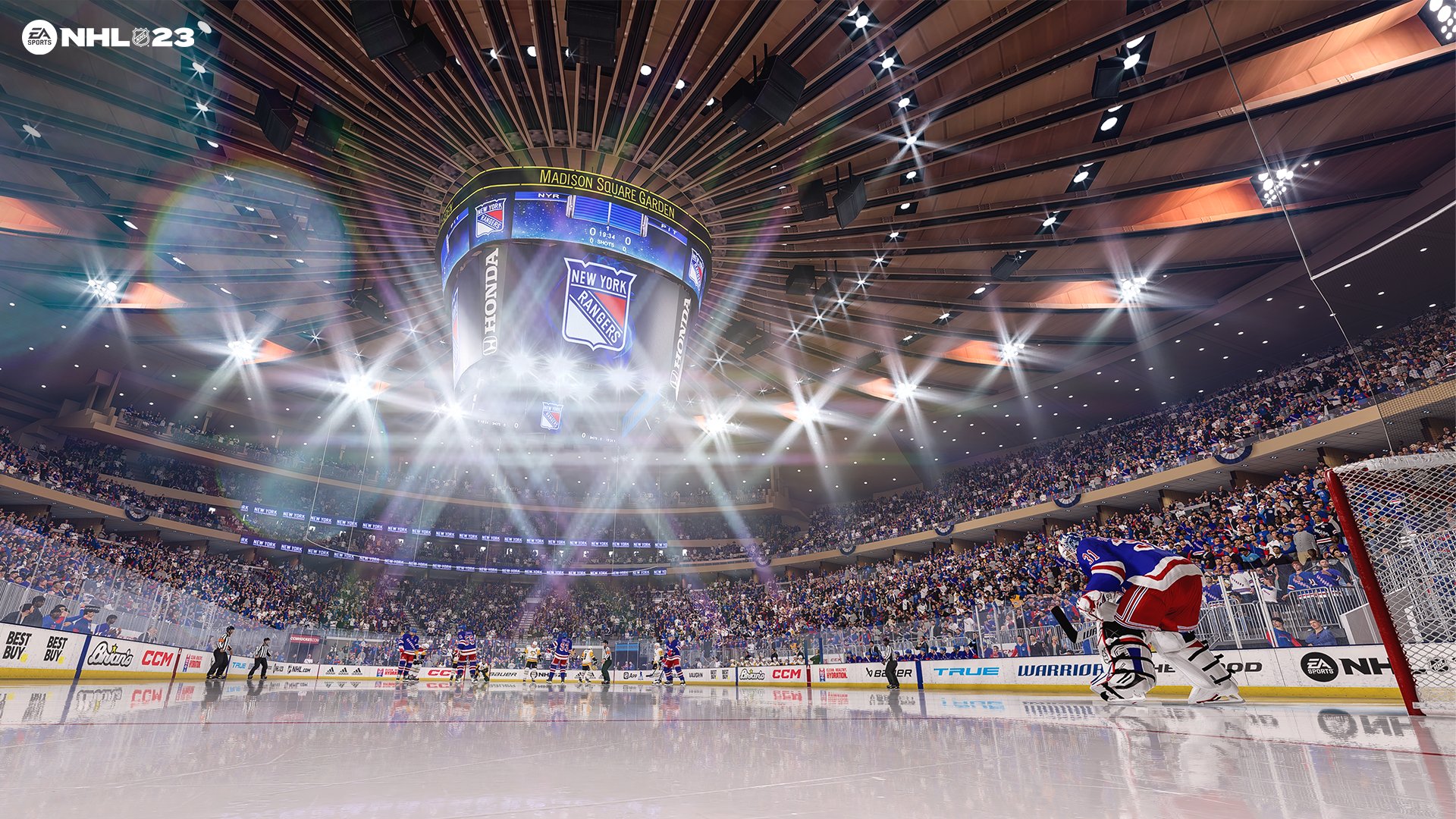 nhl 23 arena