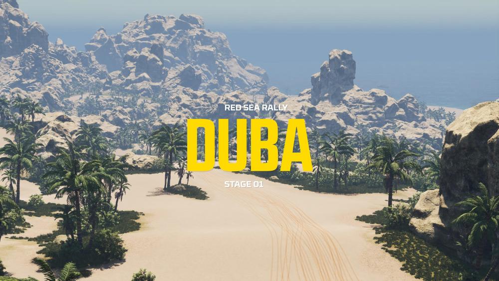 Dakar Desert Rally visuals