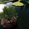 ea sports pga tour