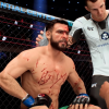 UFC 5 Gameplay Deep Dive