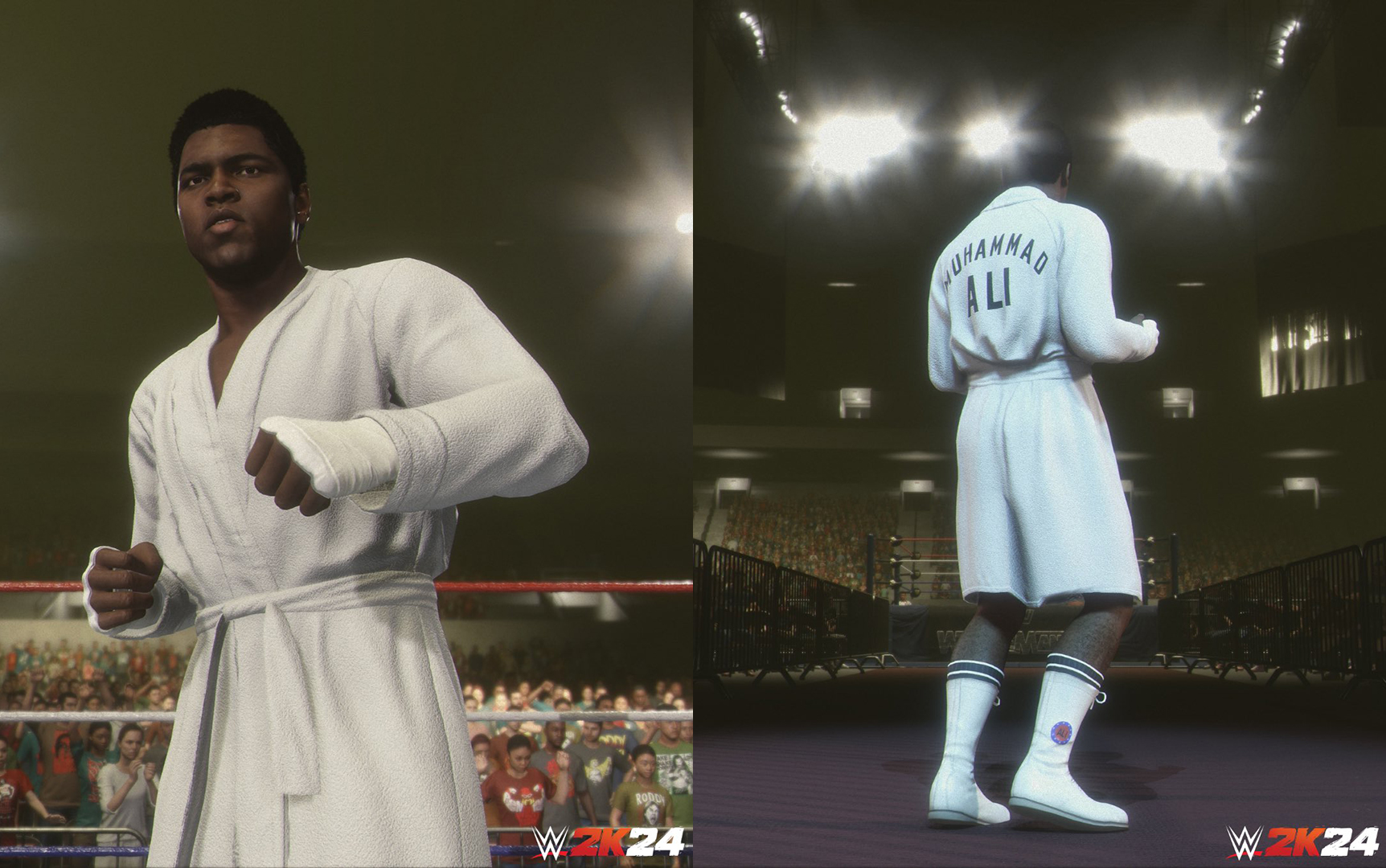 wwe 2k24 - ali