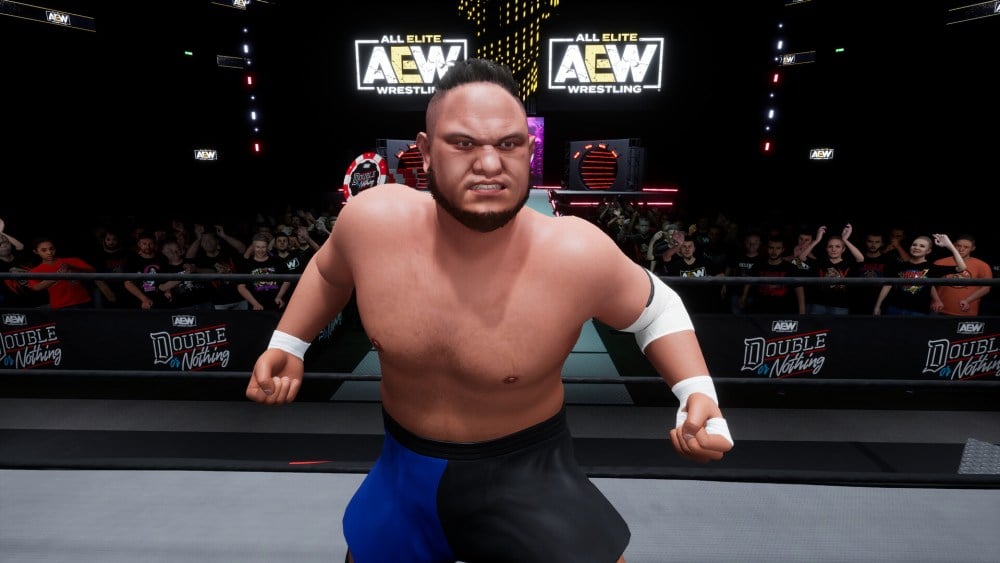 aew fight forever world war joe