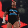 wwe 2k24 cm punk